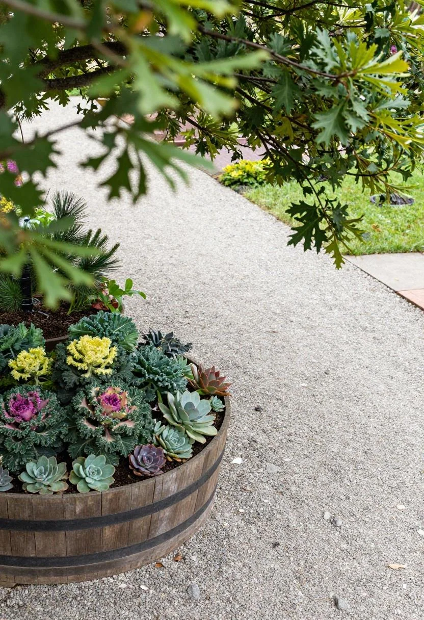 Wasabi ornamental kale and succulents filling a pine half barrel beside a gravel garden path